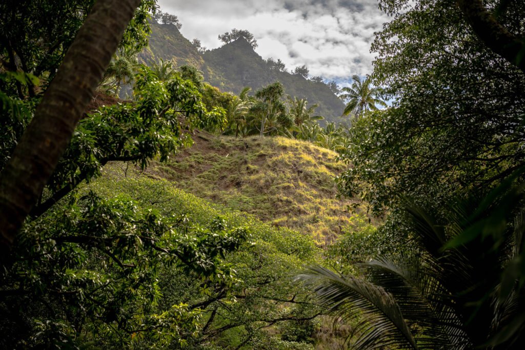 Fatu Hiva Island, French Polynesia
