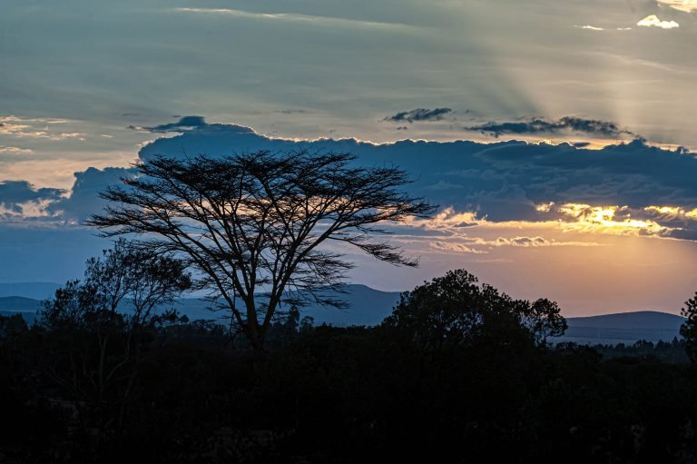 Sweetwaters game reserve in Kenya, Africa