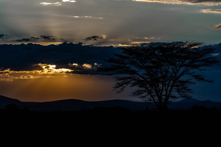 Sweetwaters game reserve in Kenya, Africa