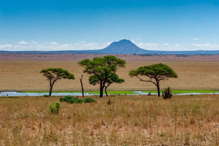 Tarangire National Park, Tanzania Africa