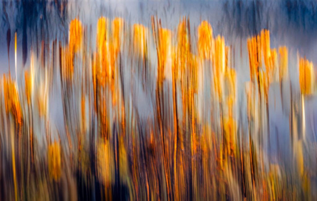 ICM of the waterfront at Fort Ebey State Park, Whidbey Island, Washington State, USA.