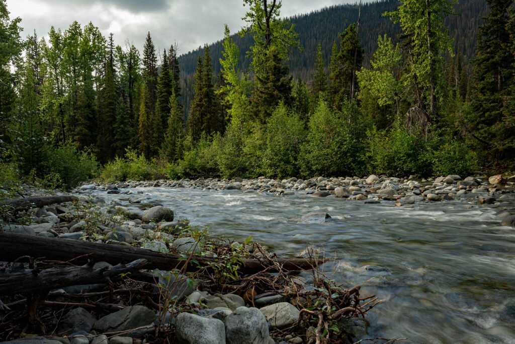 Cambie Creek E.C. Manning Provincial Park, British Columbia, Canada.