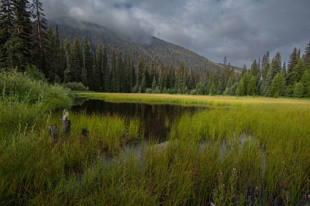 E.C. Manning Provincial Park, British Columbia, Canada.