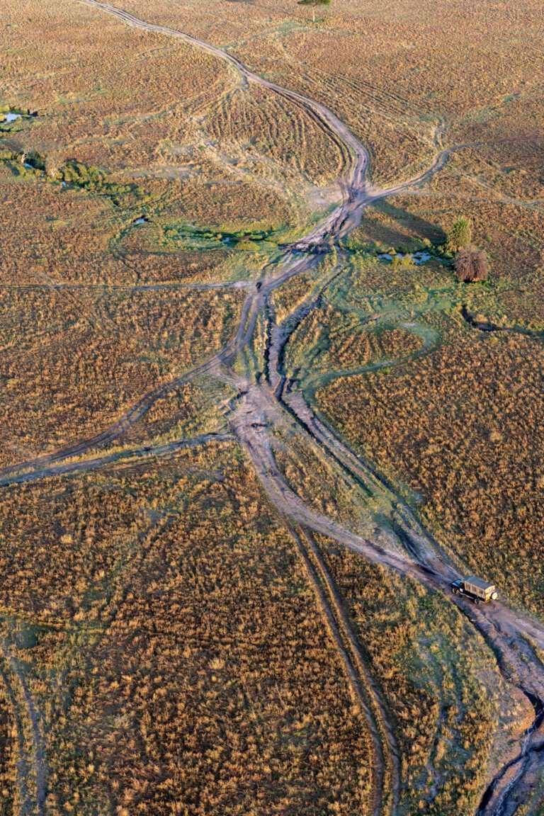 Maasai Mara Valley, Kenya, Africa.