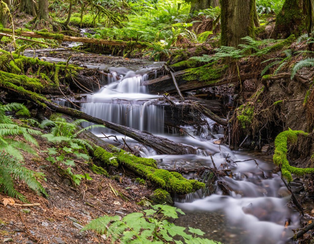 Bridal Veil Falls Park, British Columbia, Canada