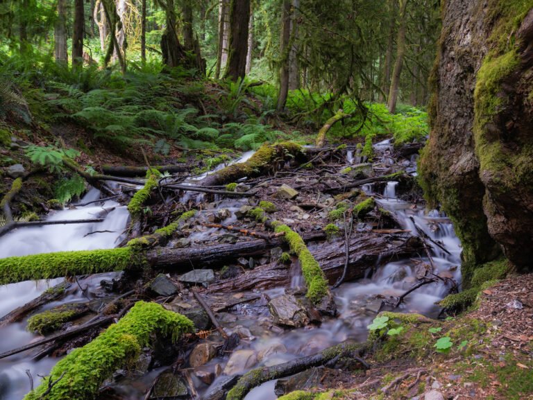 Bridal Veil Falls Park, British Columbia