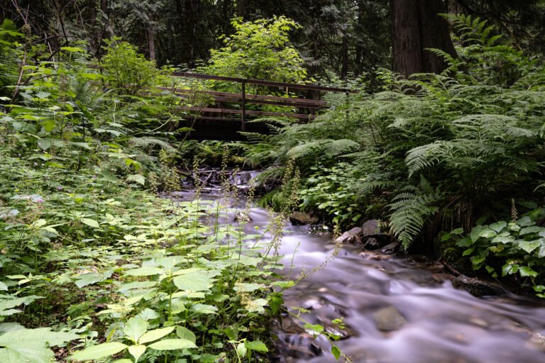 Bridal Veil Falls Park, British Columbia