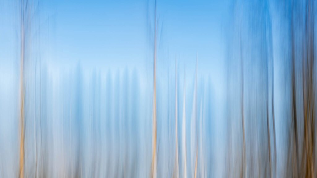 ICM of trees